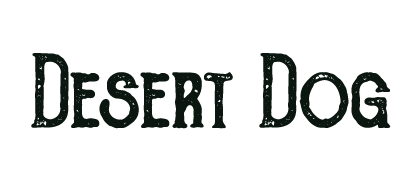 logoDSblack